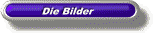 Die Bilder